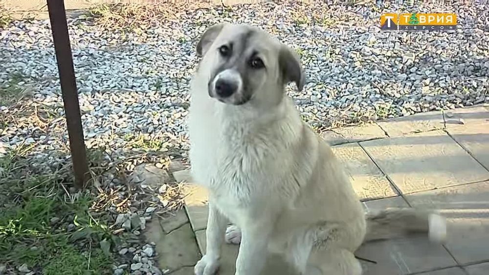 � ������������� ���� �������� ����������� ������ � ����� ������� �������� �������� ������������ �� ���������� �������