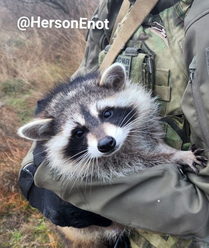 ���� �� �������: ������� ���, ������! ������� ���������� �� �����