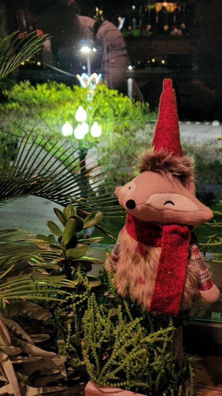 ���� �� �������: � ���� ������ �����, ��� �� ����� ���� �������� �������� ������������ ����