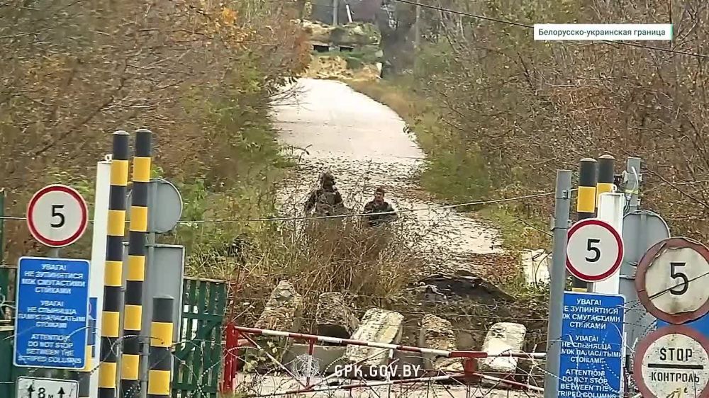 ���������� �������� ����������� ����������� ������������� ������� � ��������������� �������