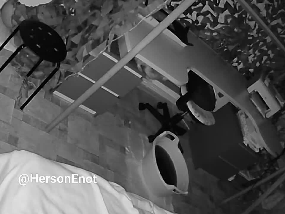 ���� �� �������: ������, �����! ���� ������� ����!