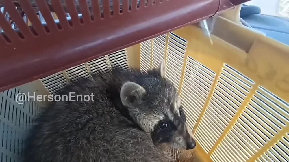 ���� �� �������: �������� ����� �� �.����� ��������