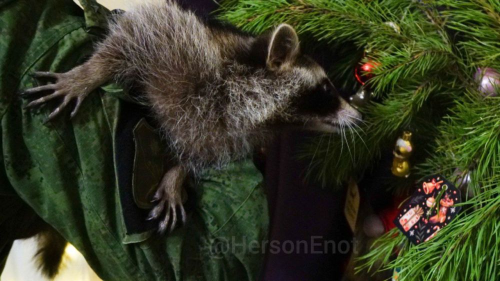 ���� �� �������: � ���������� ���, �������!