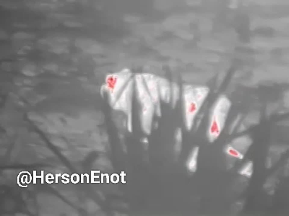 ���� �� �������: ������, �����!. � � ���� ����������� ��������� ����� ���������� ��... ������� �� ������