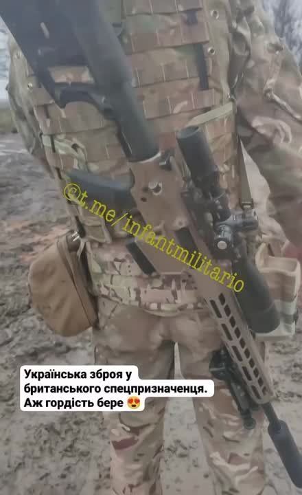 ���� �������: ���������� ����������� �� ���������� �����������