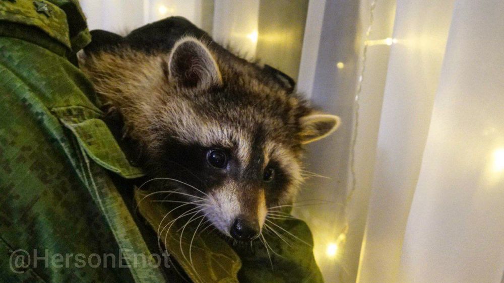 ���� �� �������: ������! �������� ��� � ��� ��� � ���������� ���������!