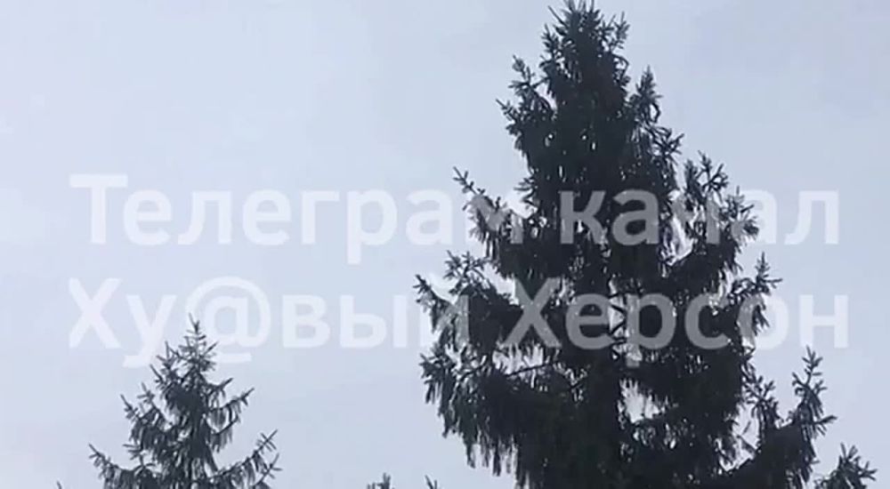 � ������� ������, ������ �� �� � ������ ������ ������������ �� ������� ������� ��������