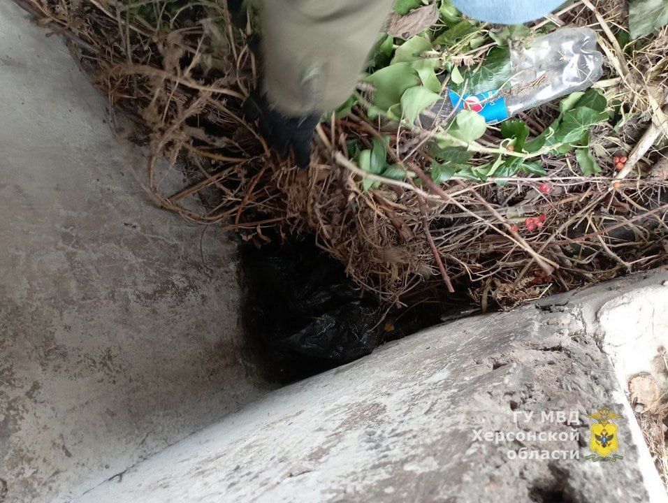 � ���������� ������� ����������� ������� ��� ������� � ������������