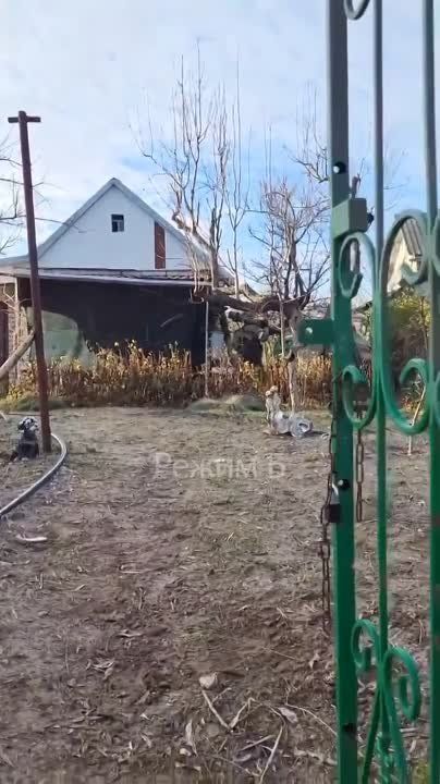 �� ����������. �������� ������ �������