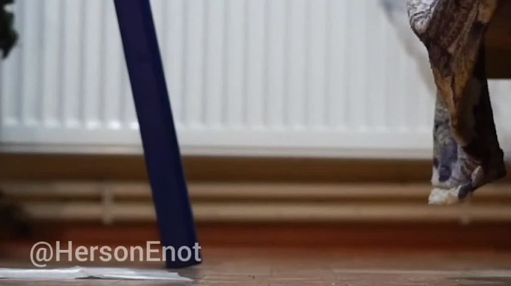 ���� �� �������: ������, �������� ���!. ������� ���� ����� ����� �������, ������ ��� ��� ������ ����� ����������� � ������� ������