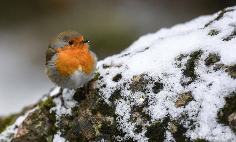 ������ �� ����� ����������� ������