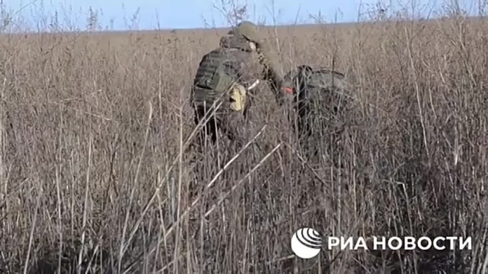 �������� �����: ���������� �� ��������� �������� ������������ ������