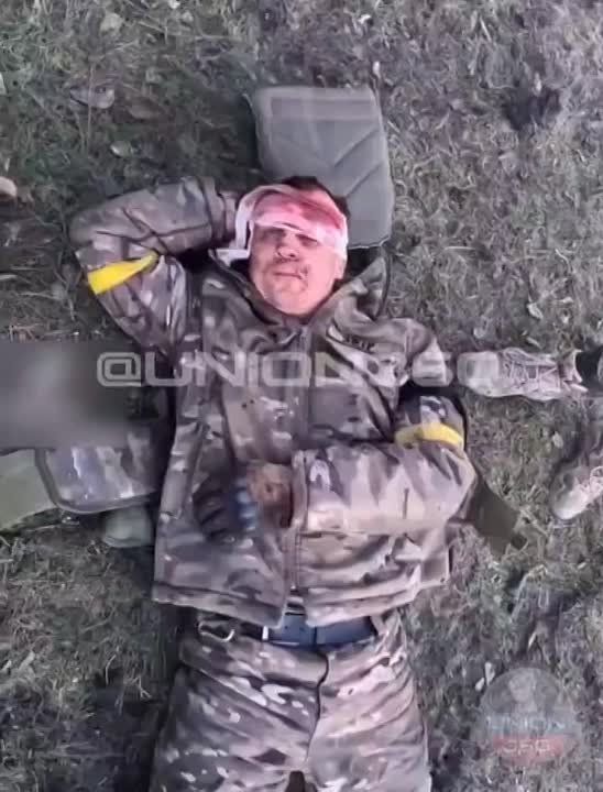 ������, ��� ������������, �������������� ���� ��� �����������������