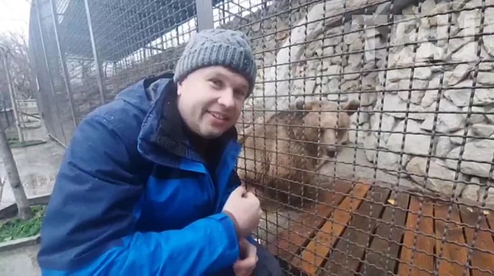 ������ � �����. ��� ��� ������ ������� �������!