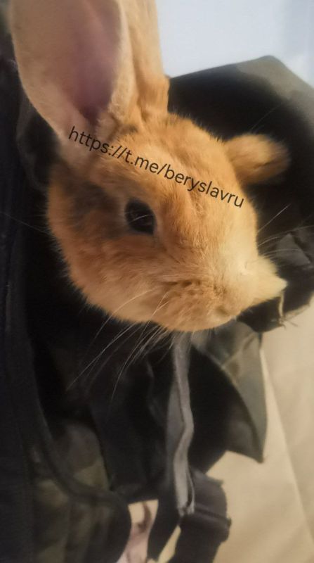 ������������ ����, ������ ��� ��������� ������� ���� � ������ ������, � ������ ������ ������ ���������� ���