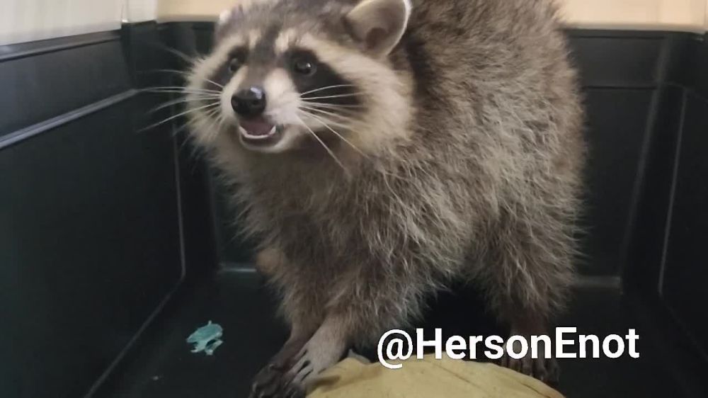 �������� ��������� �����