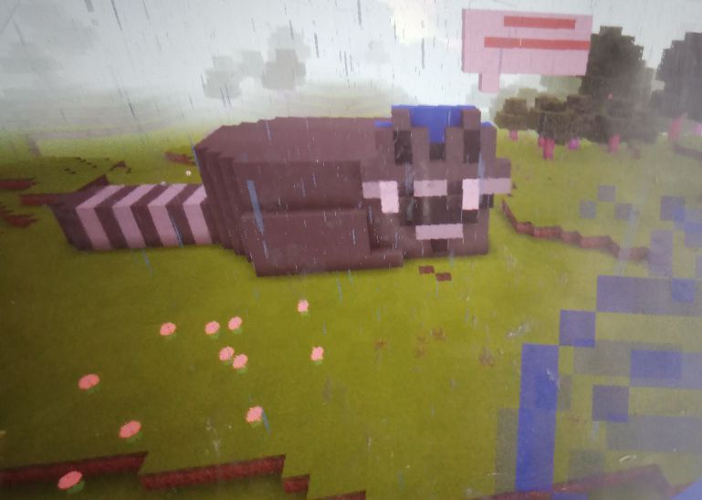 � ��� ���� �� ������� ������ ���� �� ��������� ���������