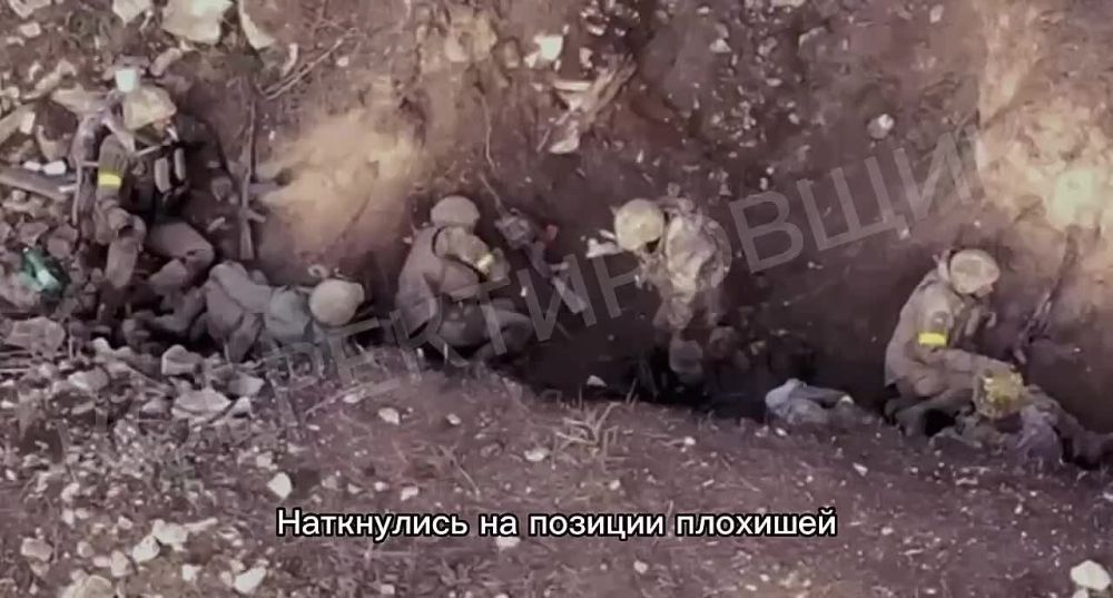 ��������� �� 35 ����� ��� �� ���������� ����������� ������ ��� ������� ���������� ����������