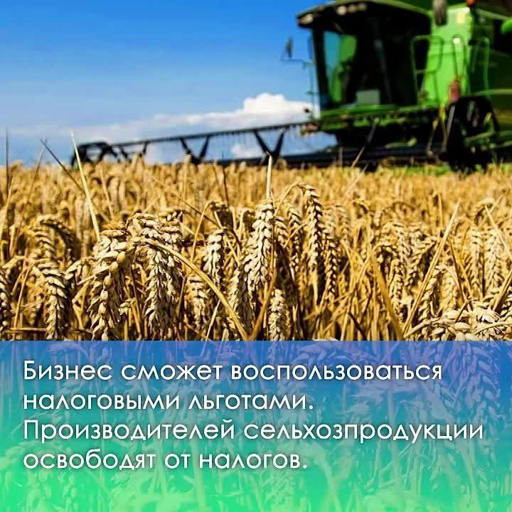 ��� �����, ����� ����� ��� ��� ����� ��������