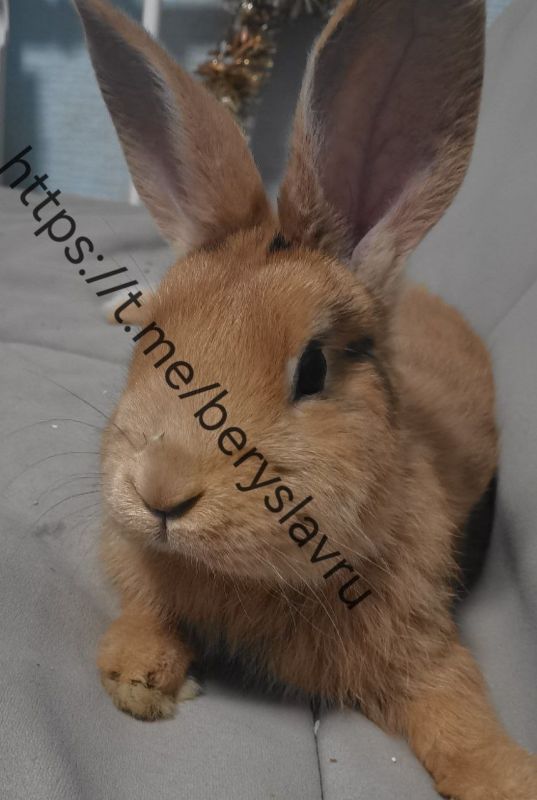 ���� ������!. � ����� �� ������ �� ��������