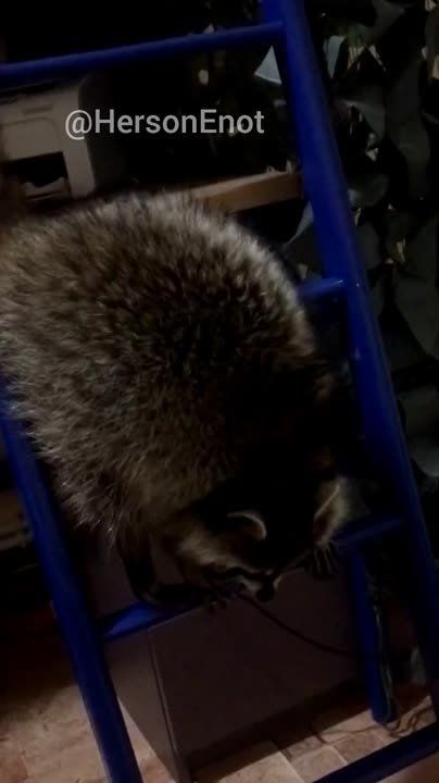 ���� �� �������: ��� � ��� ���������� ����� ������� �������� ������