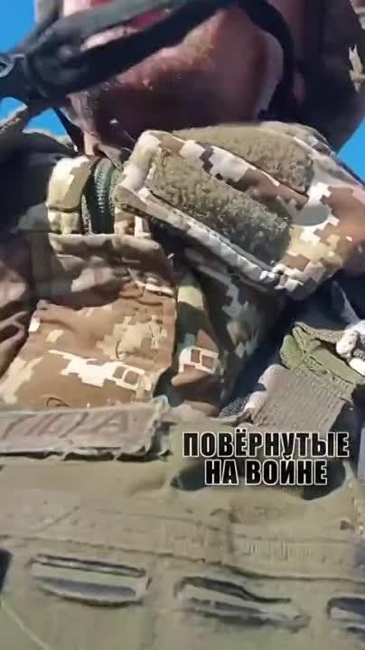 �������� ���! ���...� � ��� ��� ������� ���� ��������� � ���� �� �����