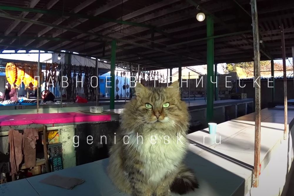 ���� �� ����� ���������� ����� � �������� ����� � ����� �� ����� ���������