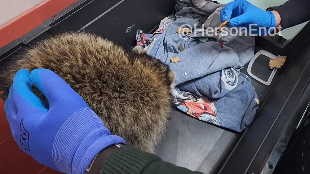 ���� �� ������� ������� ���������� �������