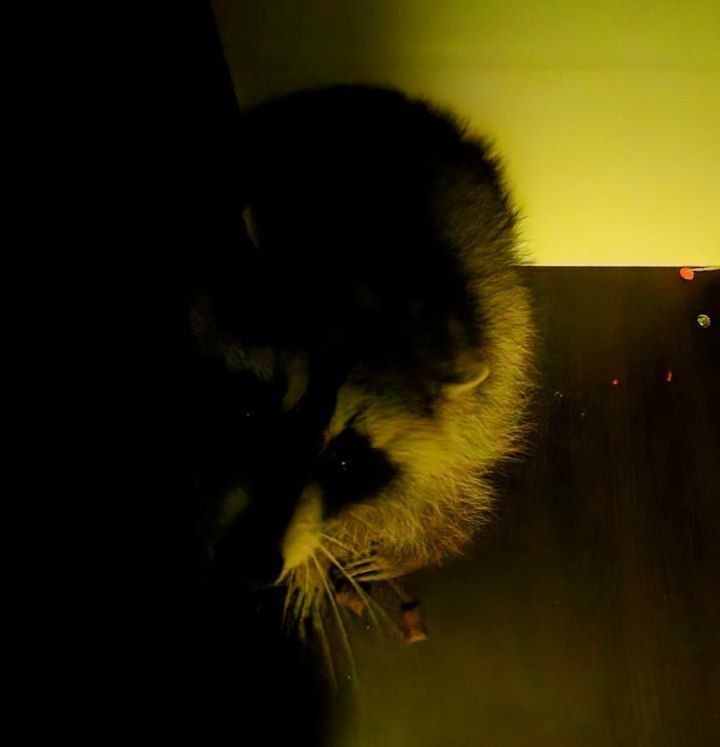 ���� �� �������: ������, ���� �����!. ������ ����� ����� �����������, ������� ���� ��������� ��� �������! � � ���� ������� �����������