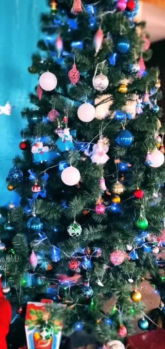 **����� ��� - ����� �������, ������, ��������� ��������