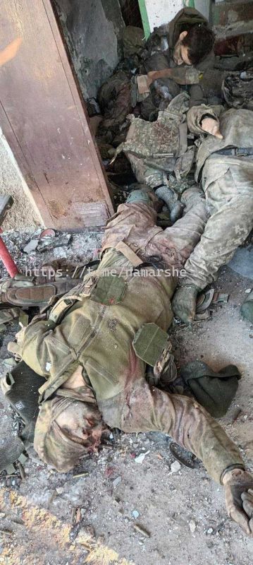 "������ �������� ��������, ���������� �������������, �� ���������� ������� � ����, ����������