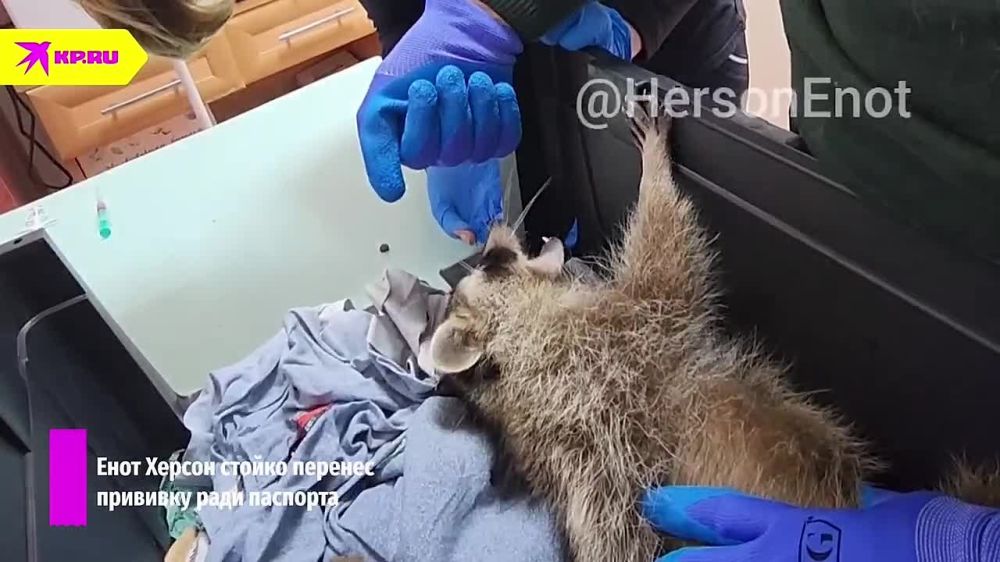 ���� ������ ������� �������