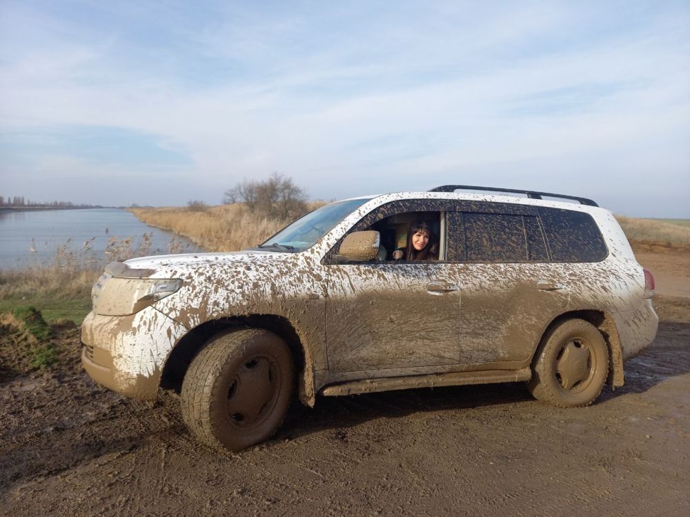 �������� ���� �� ����������