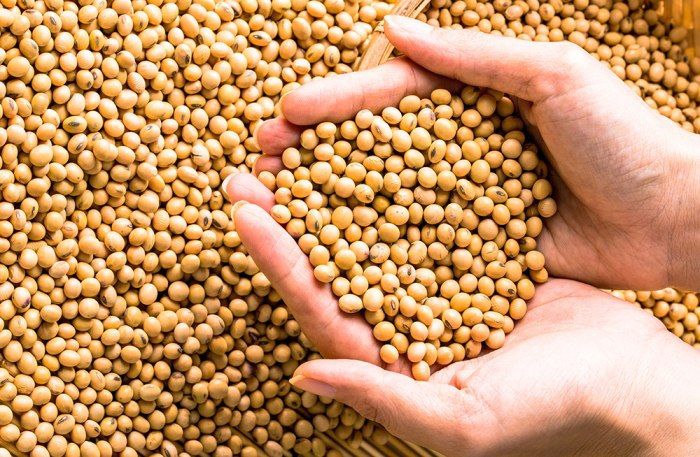 ����������� �������� ���������� ����� 114 ���� ��� �� ���������� �������