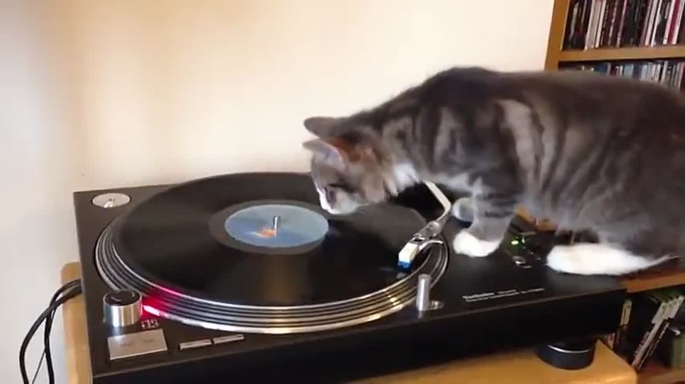 ����������: ����������� �����