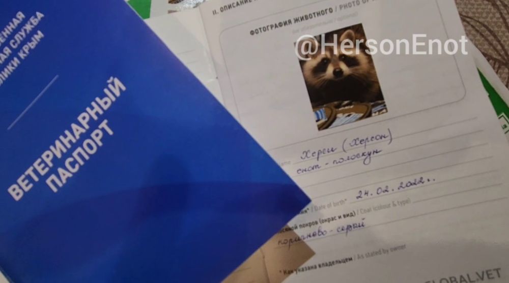 ���� �� ������� ������� ���������� ���������� � �����