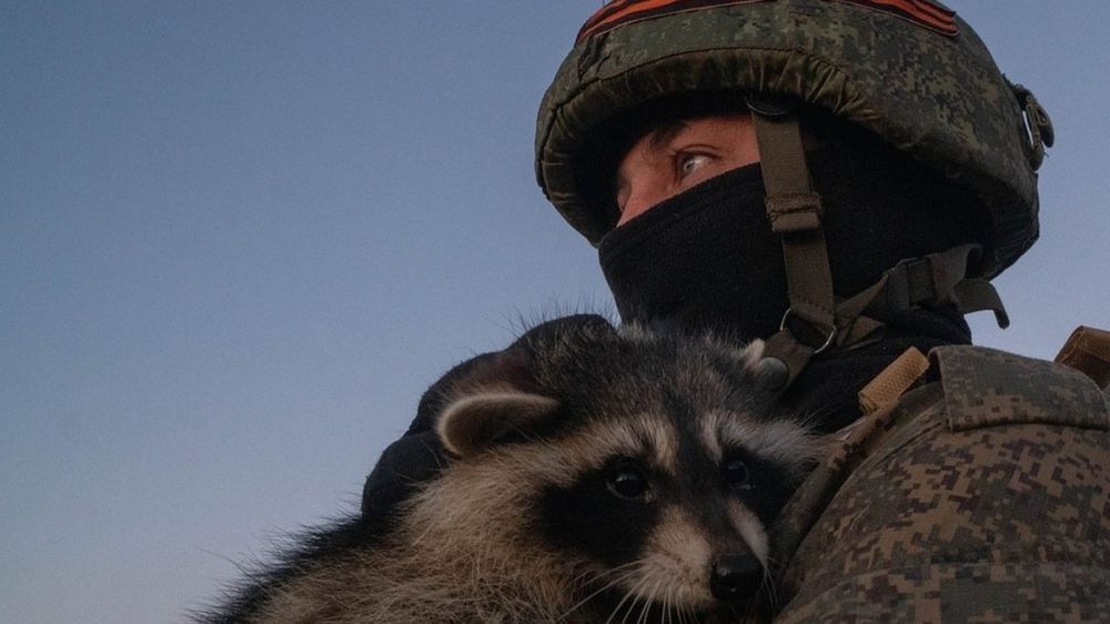 ���������� ���� �� ������� ������� ���������� ������� � �����