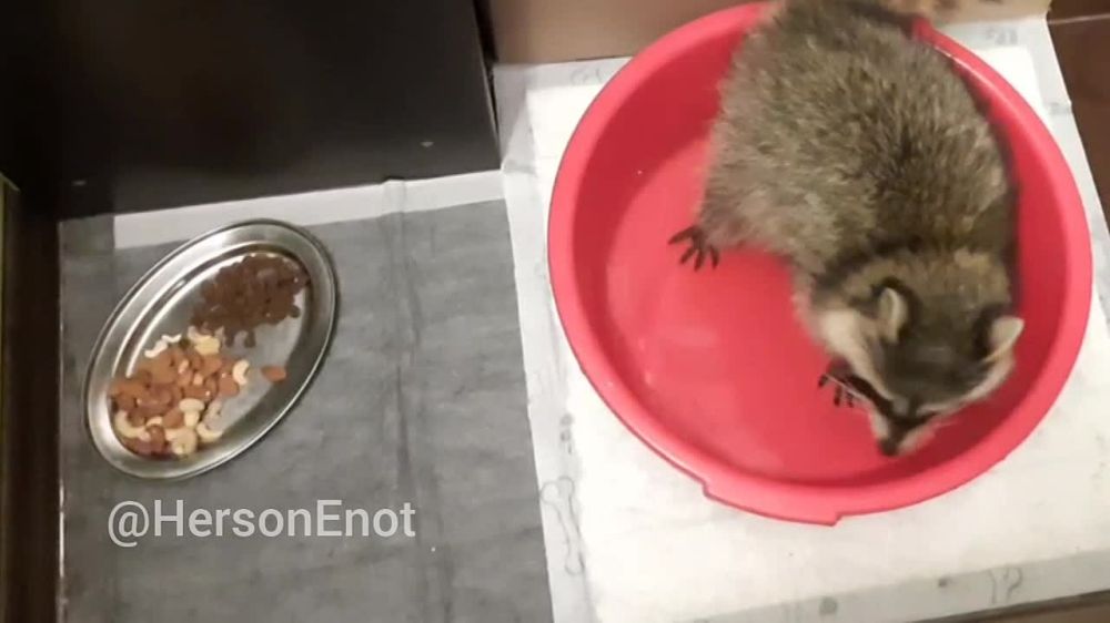 ���� �� �������: ������, ���� �����!. ������� ������� ������, �� ��� �� ����������. ���������, � � ���� �������� ����� ������������, �������� ��� ��� ����� ������� � ����������