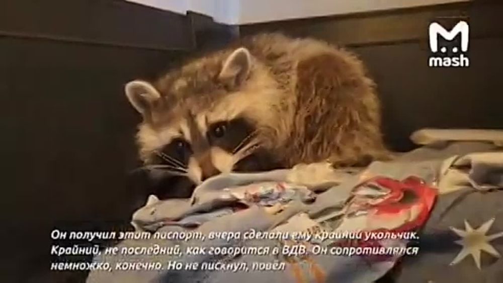 ��� ����� ���� �� ������� ������� ��������� ���������� �������