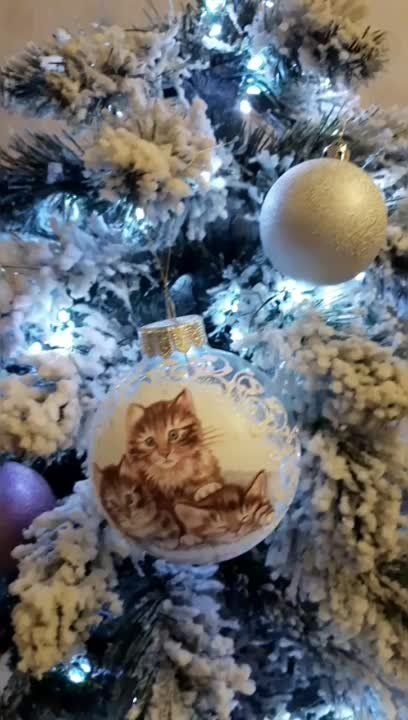 ���� �� �������: ��� �������� ����, ���� ��� ���������?