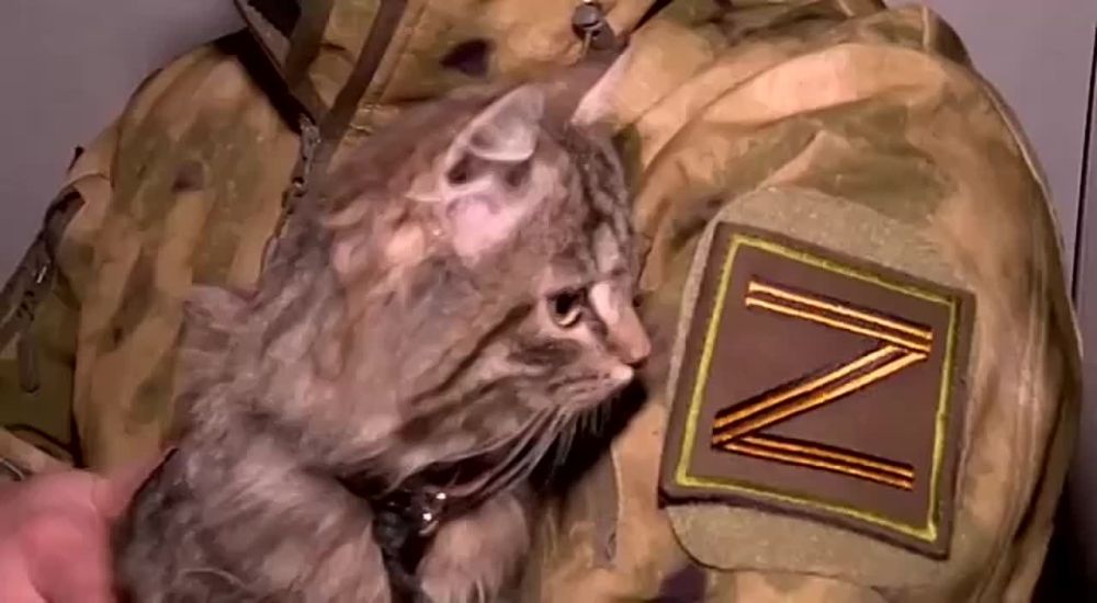 ����������� � ����. ������ ��� �������� ������ ���������� � ����� �� ������� ��� � ������ ����� � ��� ���� � �������� �������