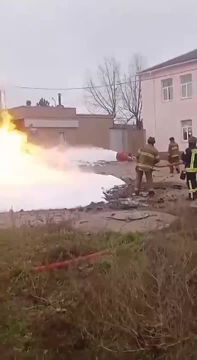 ��� ����� �������� ��������� ���������� � �����������