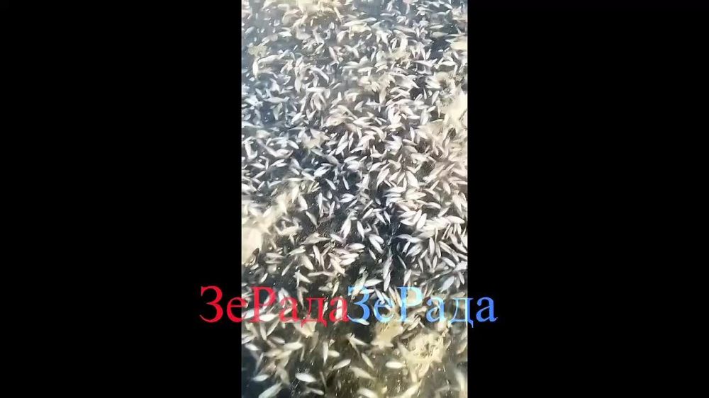 �������, ��� ��-�� ������� ������ ������ ���� ������ ���������, � ������ � ��� ���� ���