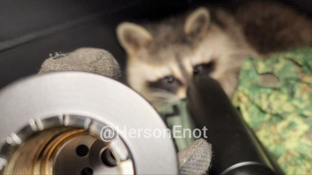 ���� �� �������: ������, �����!. ������� ��� ���������� ����� �����������..? �����, �����-������ ��������