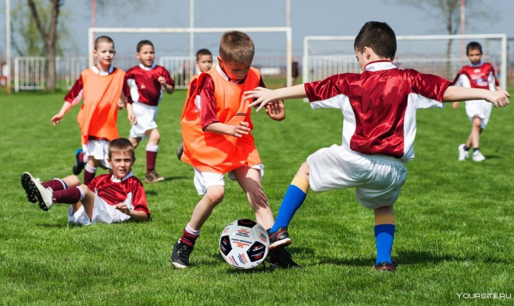 ��� ����ʻ ���������׻ ���������� �� ������ �������