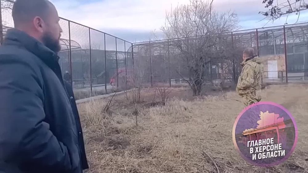 ������� �� ������� �������� �������� �� ������ � ����� � �� ��� ������ �� ��������� ����������� ����������