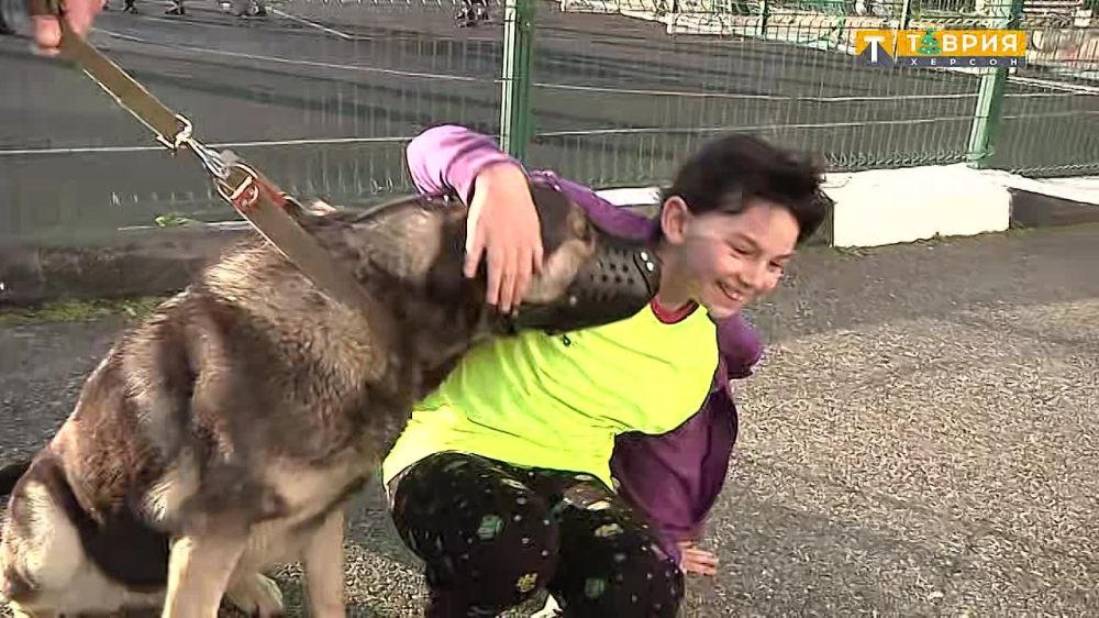 ����������� �� ������� ������ � ������������� ���� ��� �������� ��������