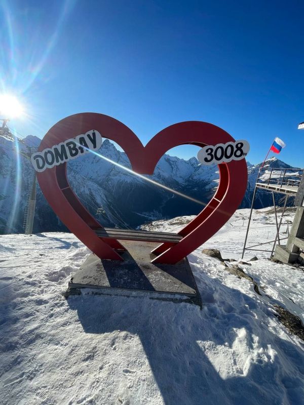 #��������_�����_�����_���������