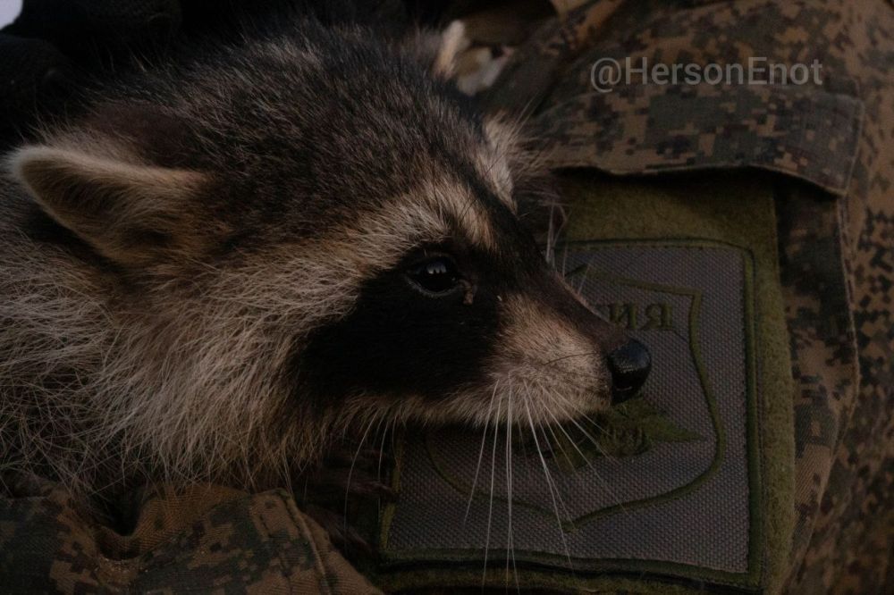 ������ ��������� � ����� ������� � ������ �� �������