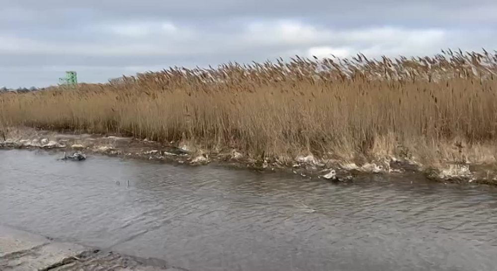 ������ ��� ���������� ������� ������������� ���������� ������ ����������-��������